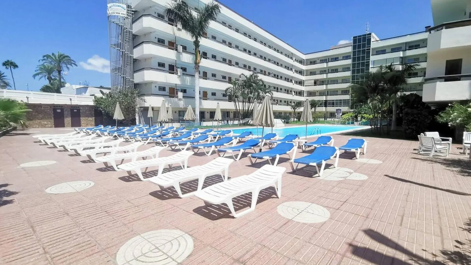 Las Camelias 215 By Pride Holiday Rentals contacts