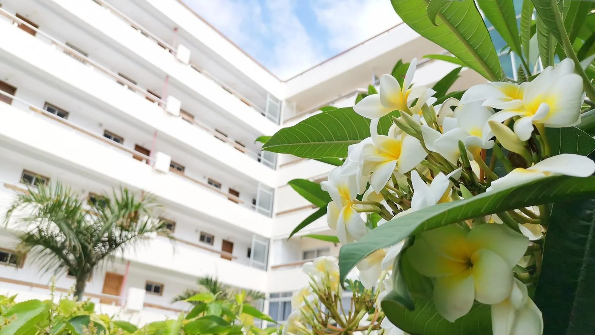 Las Camelias 215 By Pride Holiday Rentals Maspalomas  Maspalomas (Gran Canaria)